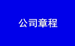 深圳公司章程网上查询平台