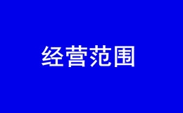 在深圳成立非融资性担保有限公司的经营范围有什么什么限制