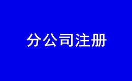 在深圳注册分公司流程（在深圳如何注册分公司）